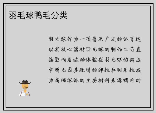 羽毛球鸭毛分类